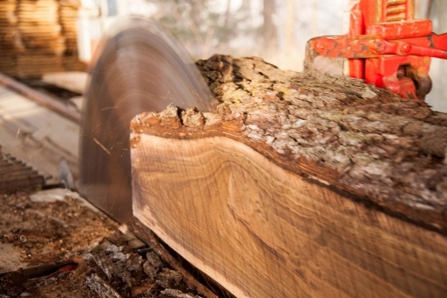 Sawmill Services