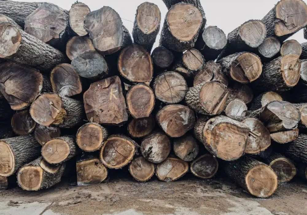 Hardwood