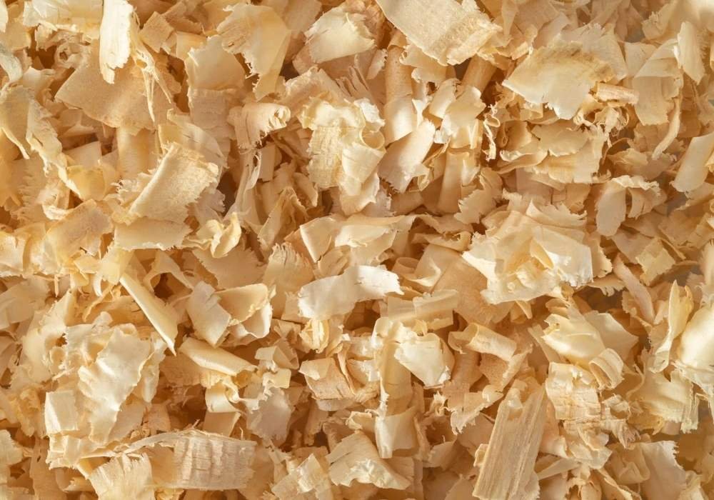 Pine Wood Shavings