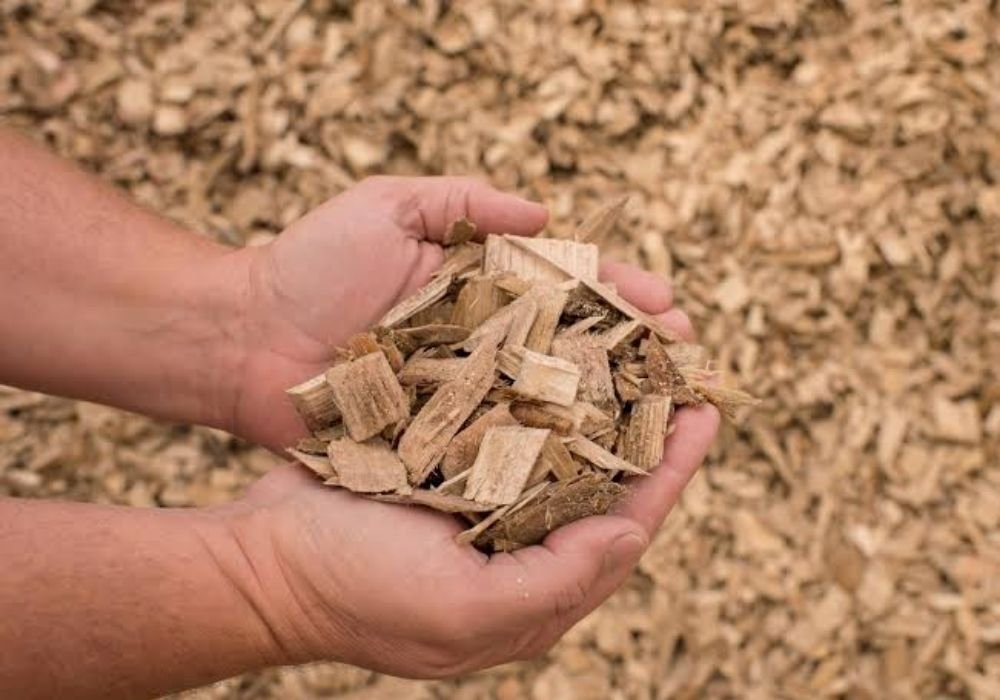 Wood Chips