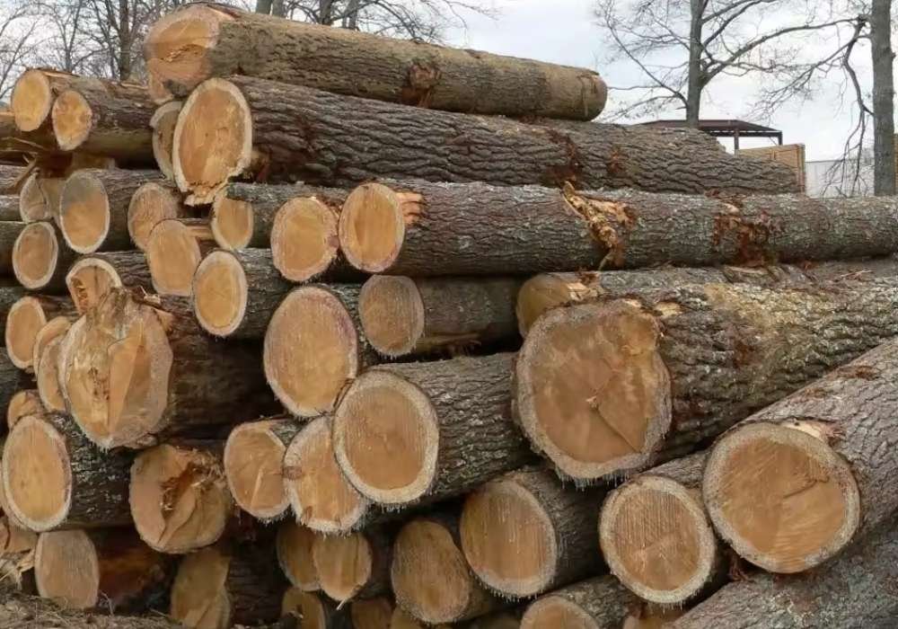 Pine Wood Logs